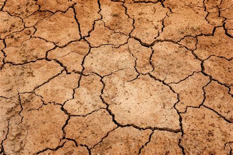 Global drought threatens food supplies and energy production.